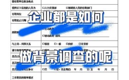 入职造假背调，会面临哪些风险？