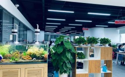 互联网人才服务有限公司