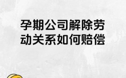 员工怀孕为何不愿到岗？