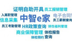 中智e家是做什么的？公司背景与业务揭秘。