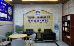 德飞人力资源有限公司有何核心优势？