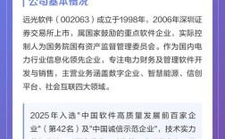 软件投资公司具体投什么？怎么帮企业？