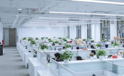 上海靠谱的人力资源公司有哪些？