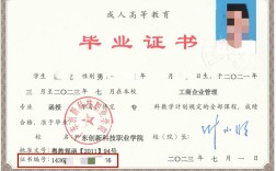 假大专证保险公司查吗