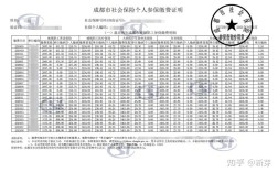 四川有限公司社保管理如何高效规范？