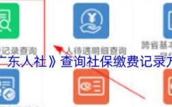 广东社保公司查询官网是什么？