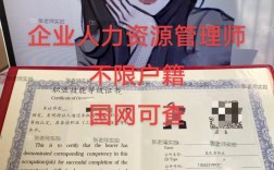 深圳人力资源证分公司如何办理？