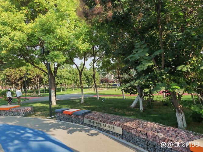 雅思口语park话题，高分表达有哪些？-图2