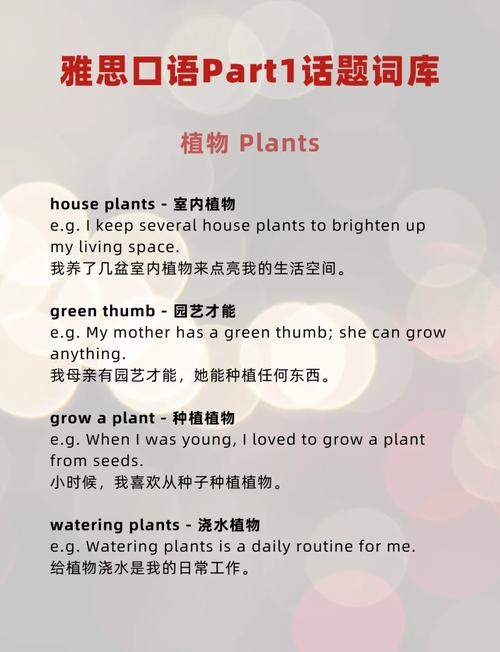 雅思口语如何描述最喜欢的歌手？-图3