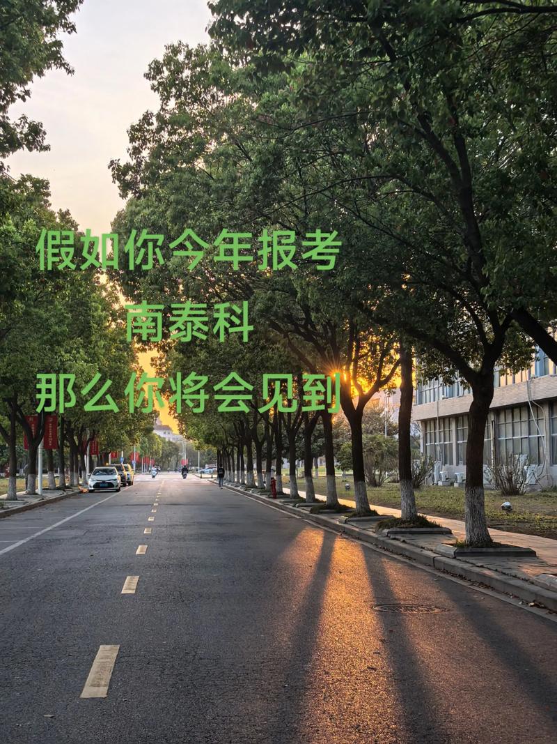 南京理工泰州科技学院考研难不难？-图2