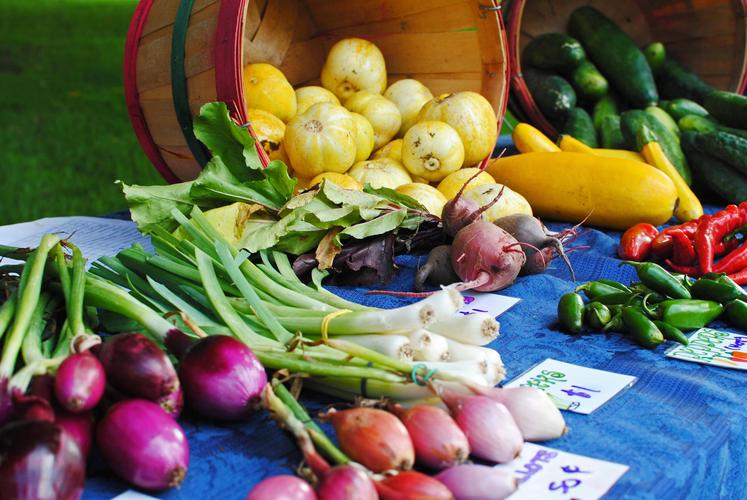 雅思口语food and fruit如何高效备考拿高分？-图3