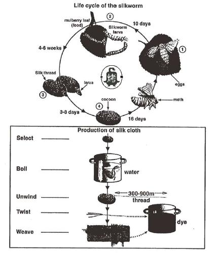 雅思口语 stages of life-图2