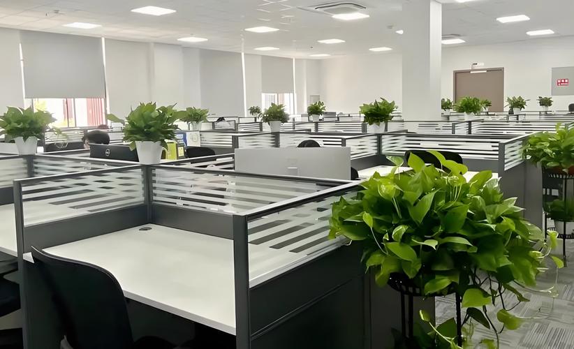 人力资源部公司如何创？关键在哪？-图2