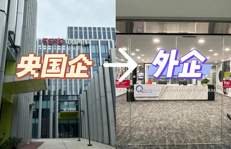 同一集团两公司，如何协同竞争？-图2