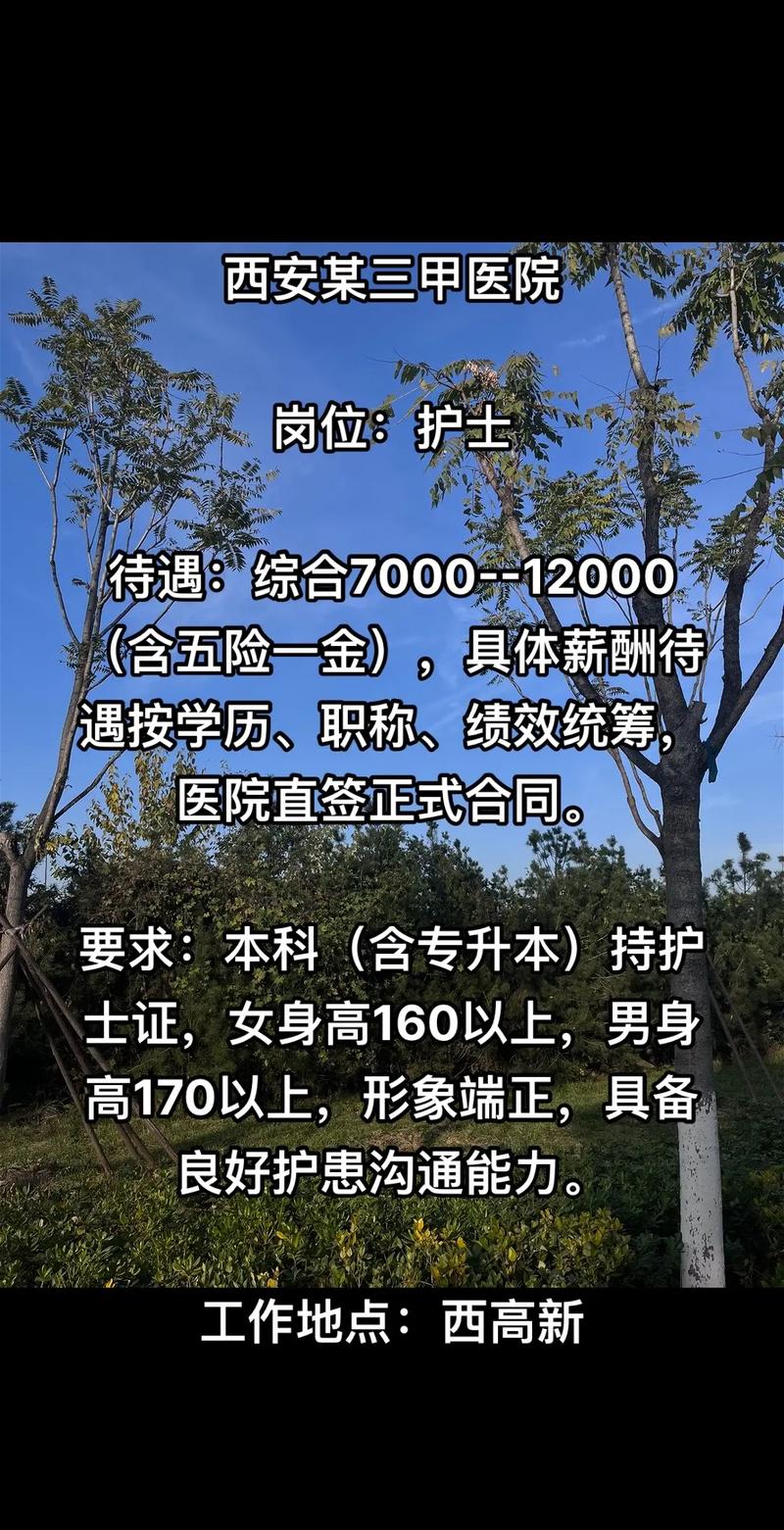 眉山护士招聘何时开始?要求有哪些?-图1 眉山护士招聘何时开始?要求有哪些?-图1