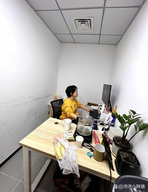 大公司行政部为何仅设一人?-图3 大公司行政部为何仅设一人?-图3