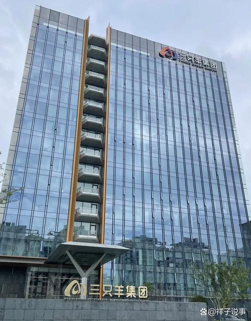 四川三和泰投资有限公司是做什么的？-图1