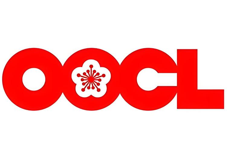 东方海外招聘，具体岗位有哪些要求？-图3