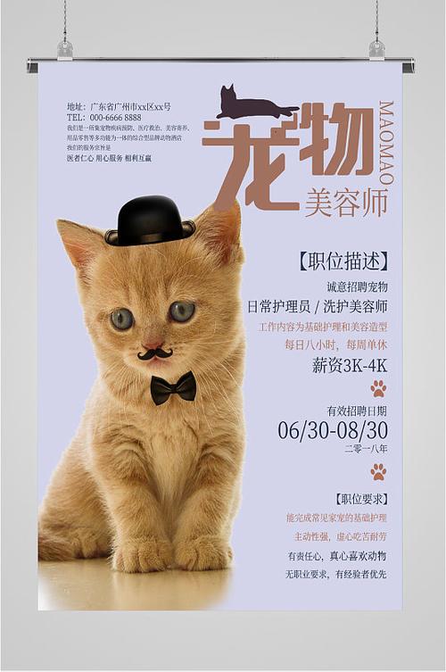 宠物店招聘要求-图3