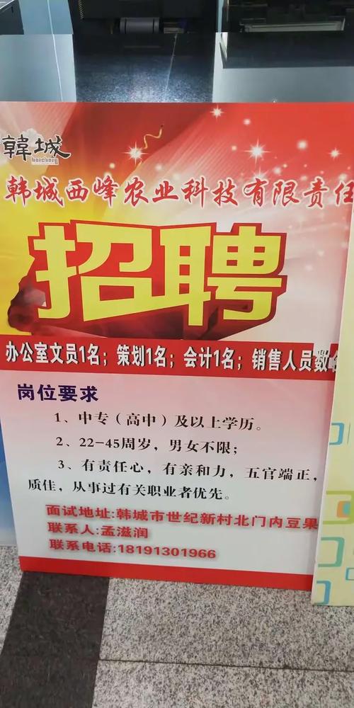 韩城市招聘哪些岗位?要求是什么?-图1 韩城市招聘哪些岗位?要求是什么?-图1