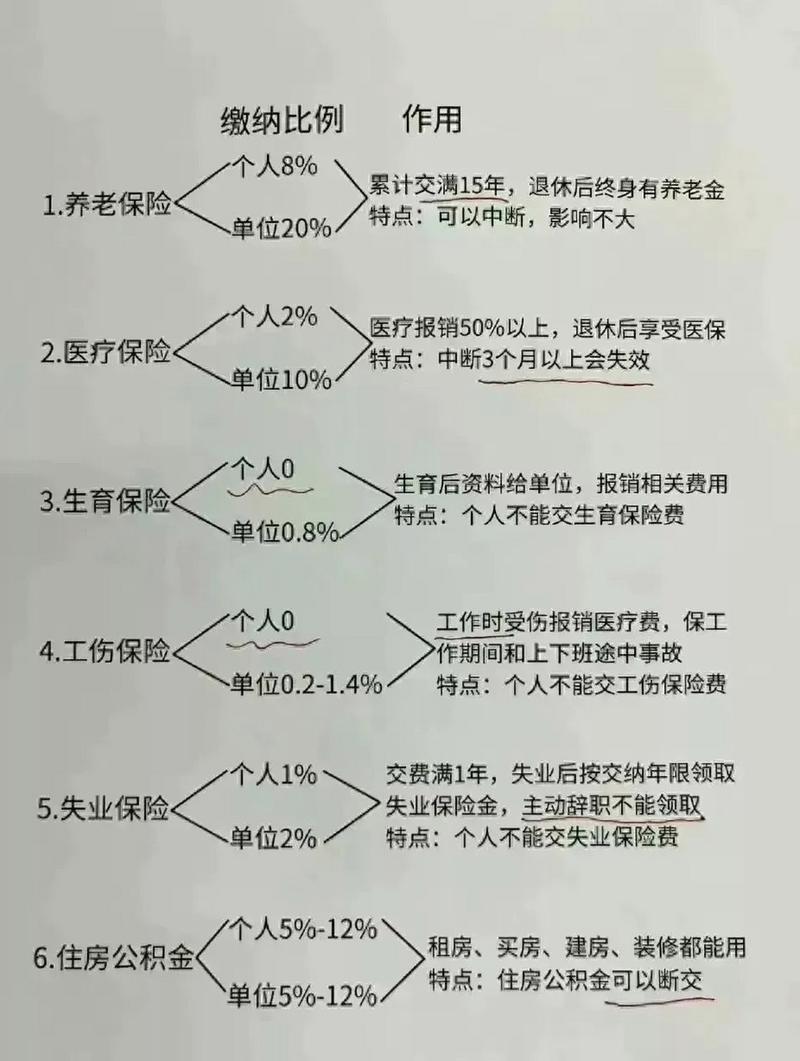 第三方公司交五险标准是什么?-图2 第三方公司交五险标准是什么?-图2