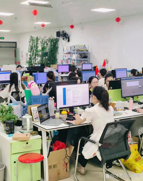 互联网小公司入职，坑还是机遇？-图1