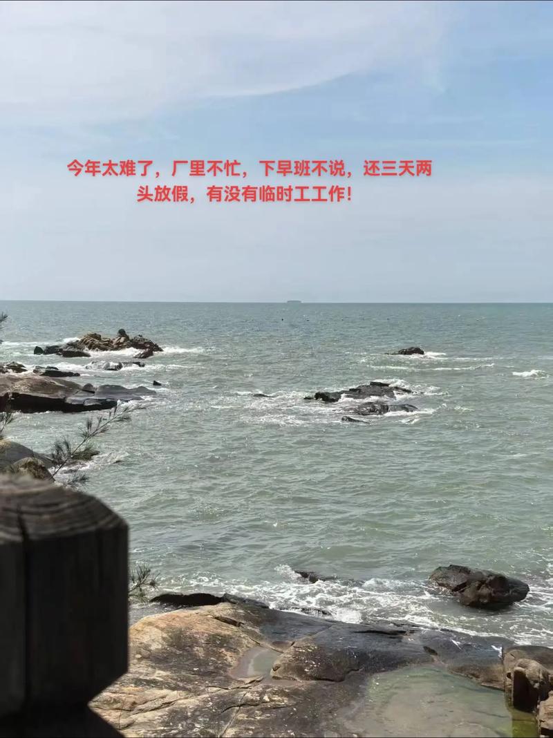 进新公司一个月没事做-图3 进新公司一个月没事做-图3