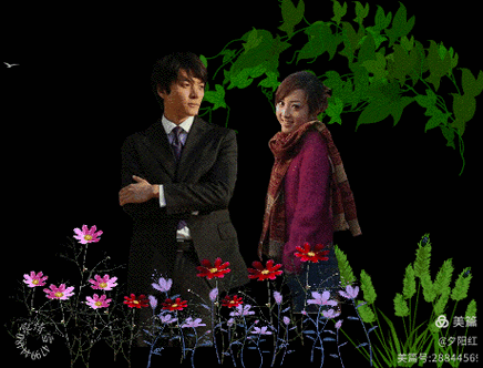 同一家公司两个人事-图3 同一家公司两个人事-图3