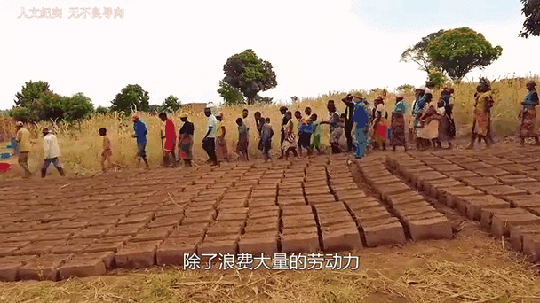 非洲工作招聘,靠谱岗位有哪些?-图1 非洲工作招聘,靠谱岗位有哪些?-图1