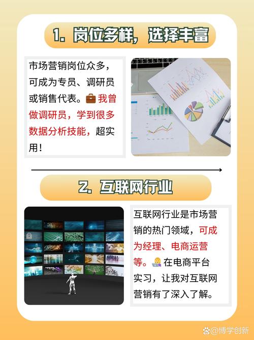 hr公司印度市场走进去营销战略研究-图2