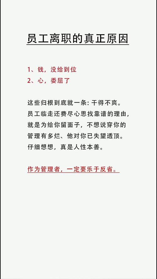 小公司HR因何突然离职？-图1