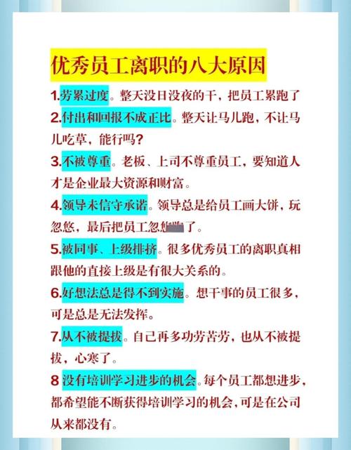 小公司HR因何突然离职？-图3