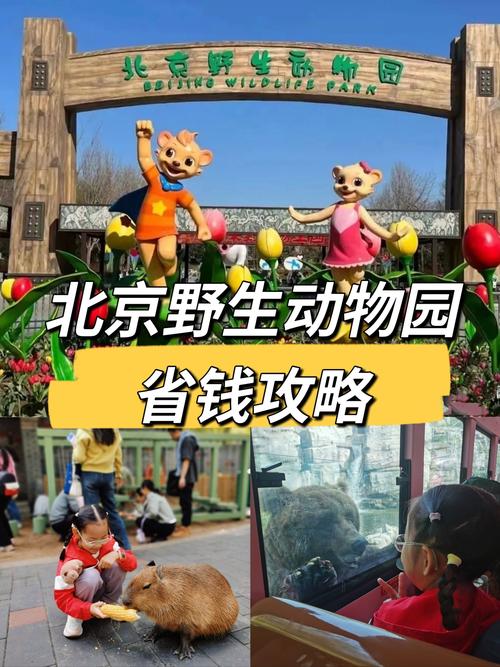 北京动物园招聘，什么岗位？要求多少？-图2