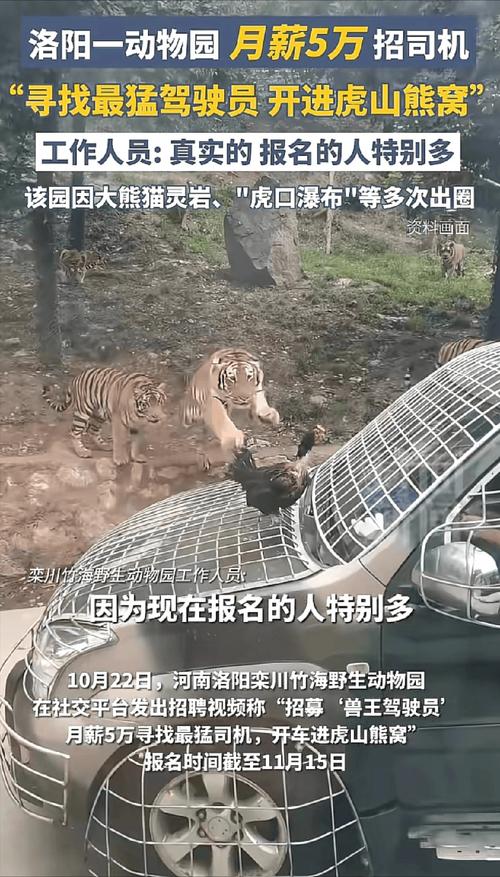 北京动物园招聘，什么岗位？要求多少？-图3