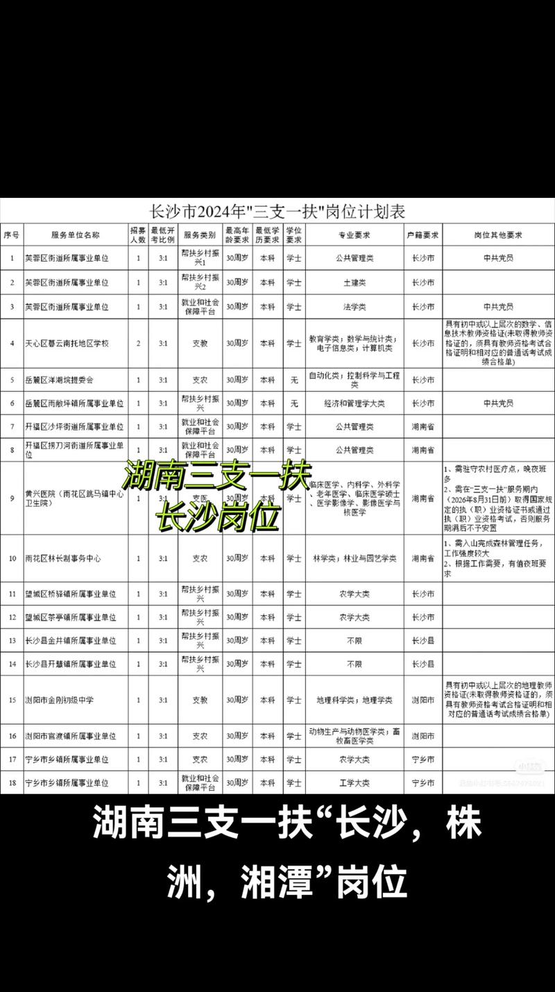 湖南人力资源公司排行榜哪家更靠谱？-图3