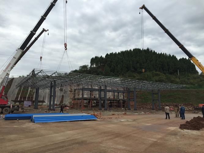 四川鑫仁泰药业有何业务或优势？-图1