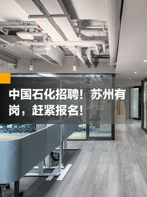 泉州石化招聘，具体岗位和要求有哪些？-图2