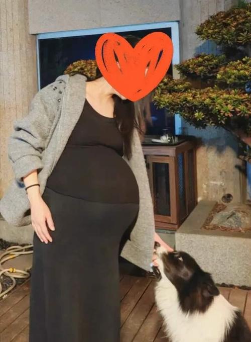 北方人力资源集团有限公司-图1