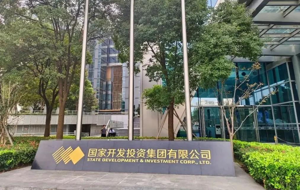 去一个新成立的大公司-图2