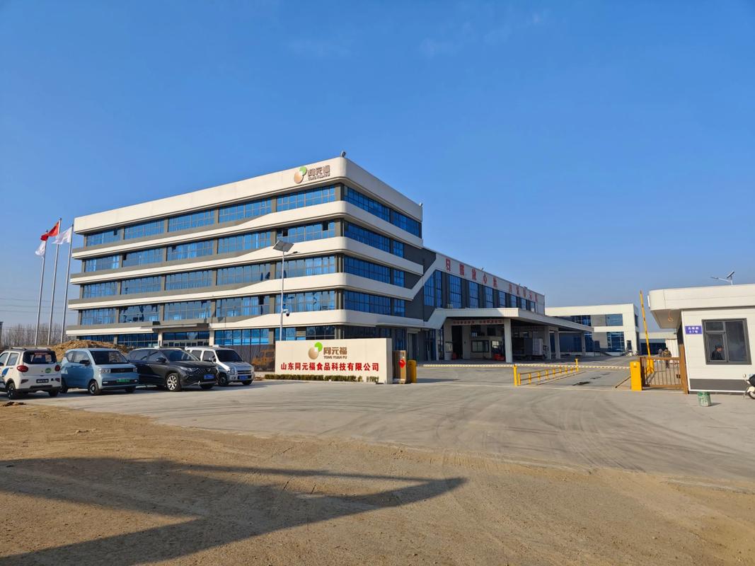 去一个新成立的大公司-图3