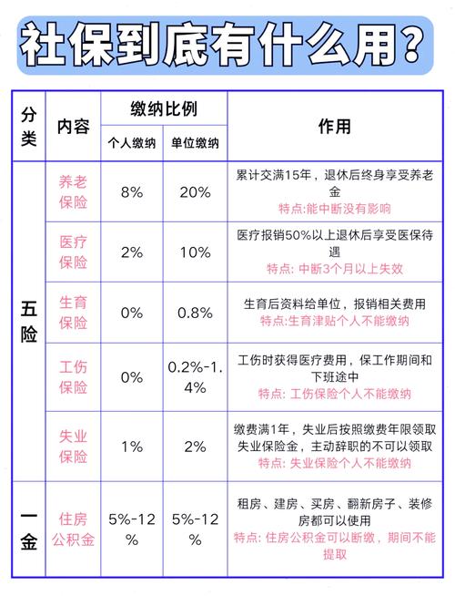 外包公司五险一金该谁交?-图2 外包公司五险一金该谁交?-图2
