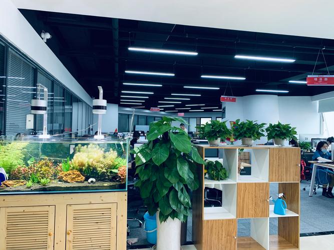 武汉人力资源公司排行榜-图1 武汉人力资源公司排行榜-图1