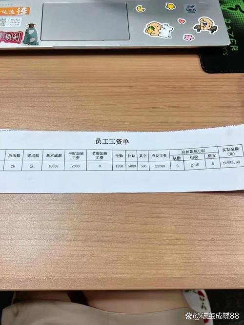 公司缓发工资,员工权益如何保障?-图1 公司缓发工资,员工权益如何保障?-图1