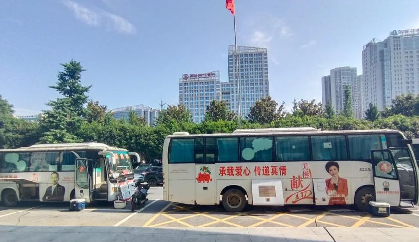 岳阳市城投二级子公司有何特殊职能？-图3