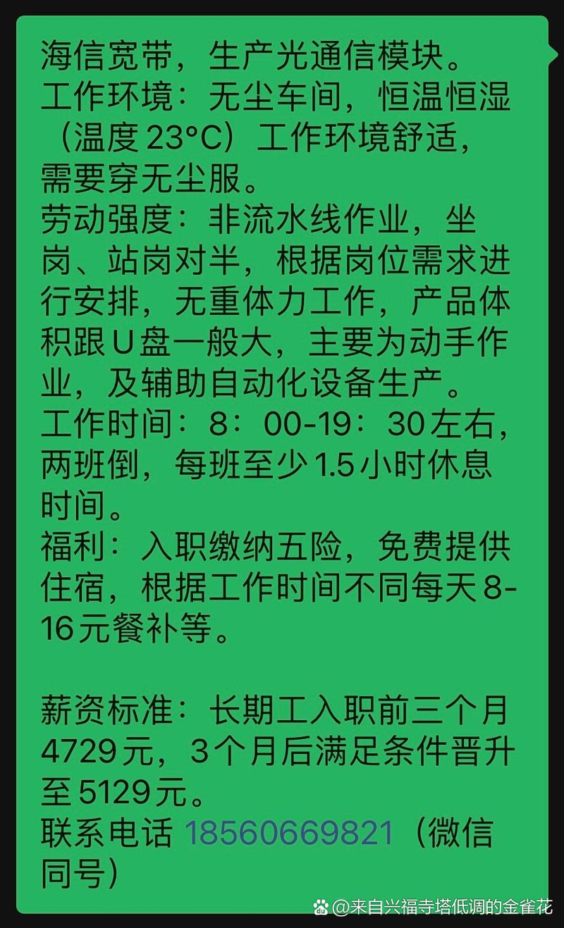 黄岛最新招聘信息有哪些岗位？-图1