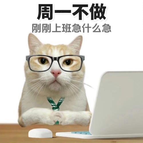 未入职先焦虑？大公司上班前的那些事儿。-图2