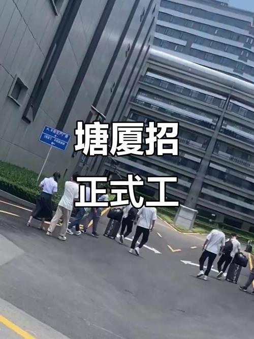 东莞塘厦招聘网-图1