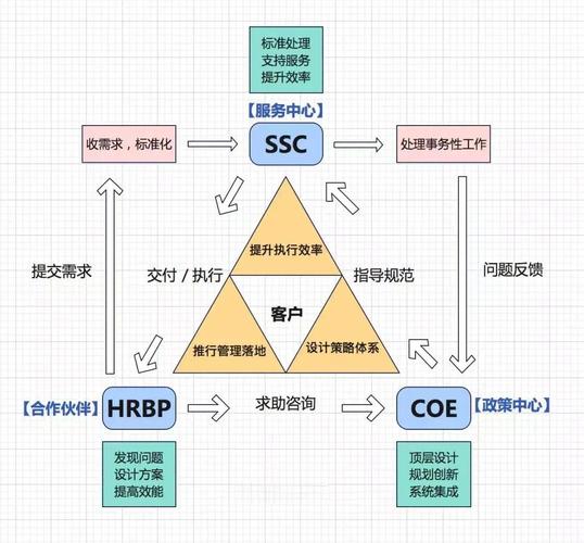 实施三支柱公司组织架构-图1