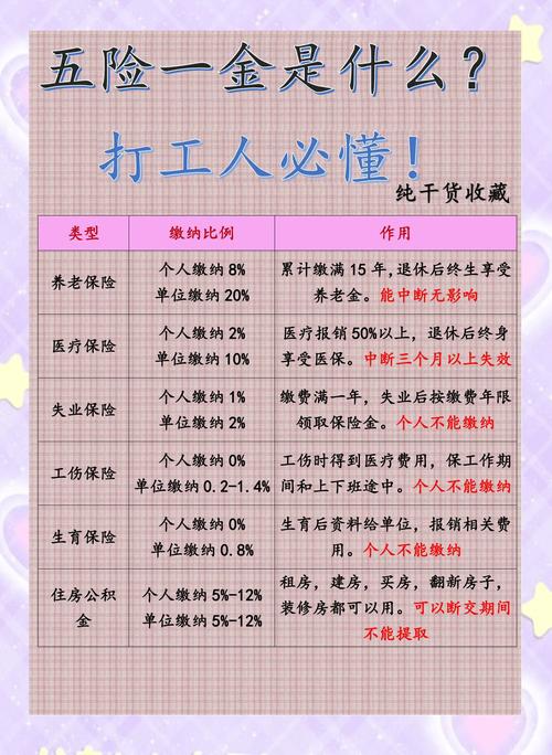 新公司入职后五险一金何时缴纳？-图1