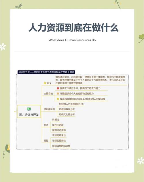 创业型的公司HR应该做什么-图3 创业型的公司HR应该做什么-图3